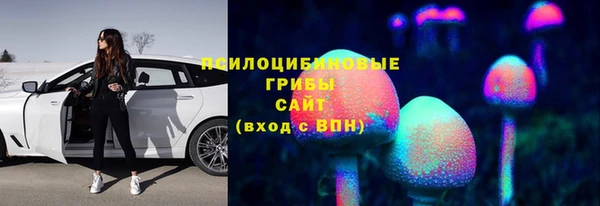 кокс Медвежьегорск