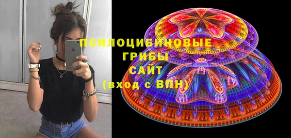 дживик Березники