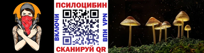 Галлюциногенные грибы Psilocybine cubensis купить закладку Таганрог